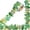 Green, variant on GuassLee 50ft Greenery Bulletin Board Border Decorations - Boho Die-Cut Green Classroom Border Trim Greenery Plant Tropical Leaves Bulletin Board Trim for Tropical Jungle Classroom Home Office Decor