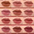 thumbnail image 5 of Focallure Matte Lipstick Lip Cream Velvet Waterproof Long Lasting Lightweight Dual-use Lip, 5 of 5