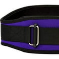 thumbnail image 4 of Schiek Sports Model 2006 Nylon 6" Weight Lifting Belt - 2XL - Purple, 4 of 4