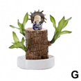 thumbnail image 1 of 2025 Brazilian Wood Water Green Plant Raise Lucky Wood Potted 4-Seasons Plants, 1 of 1