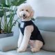 thumbnail image 2 of Chaleco De Verano Para Perros De Razas Grandes | Traje Ligero De Pelo Dorado | Ropa Fresca Para Perros Medianos Y Grandes, 2 of 2