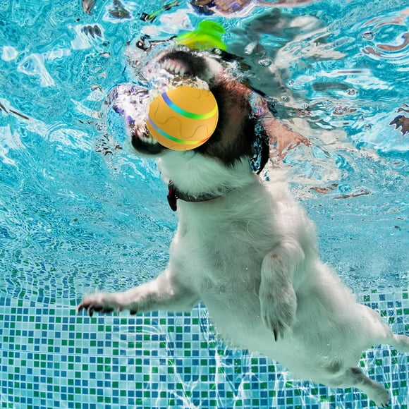 Labymos Jouet Balle pour Chien Interactif Chiot Chat Animal Jouet Roulant Télécommande Auto-Rotatif Rebondissant
