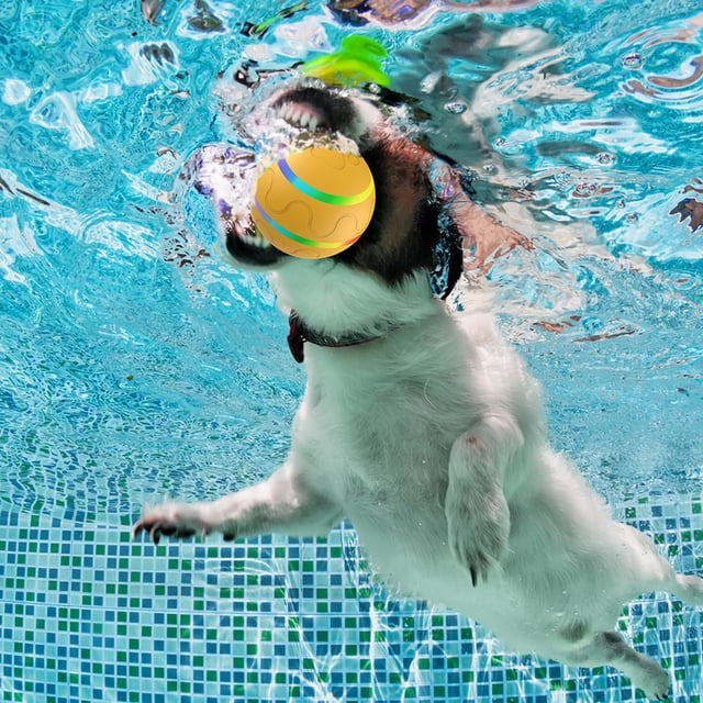 Labymos Jouet Balle pour Chien Interactif Chiot Chat Animal Jouet Roulant Télécommande Auto-Rotatif Rebondissant
