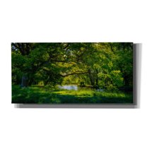 Cortesi Home 'Summer Morning In The Park' by Nicklas Gustafsson Canvas Wall Art, 40"x20"