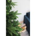thumbnail image 5 of Perfect Holiday 6′ Northern Shasta Fir Full Christmas Tree, Green, 5 of 5