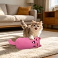 thumbnail image 4 of Catnip Cat Toy for Indoor Cats and Kittens – Soft Lightweight Small Toy with Real Catnip, Variety of Shapes, Perfect for Batting, Tossing and Carrying, 4 of 7
