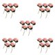 thumbnail image 2 of Cateissary 5 uds. Apto para mascotas, buena sensación de mano, arreglo de flores artificiales no tóxico para amantes de las mascotas, apariencia Type2 NO2, 2 of 3