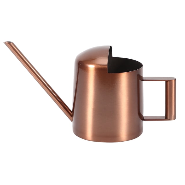 Regadera pequeña de acero inoxidable de 300 ml para plantas y flores, con boquilla larga, para uso doméstico.