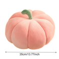 thumbnail image 3 of EIMELI 3D Simulated Plush Pumpkin Pillow 13 Inch Halloween Children Gift  White, 3 of 7