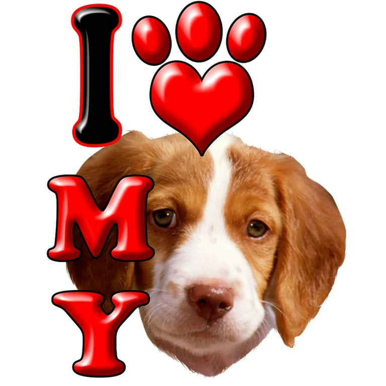 Brittany Spaniel Pants Brittany Spaniel Pants