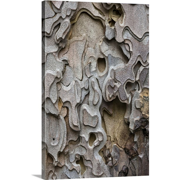 Great BIG Canvas | "Bark of a Ponderosa Pine tree ...