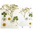 thumbnail image 1 of Natural Real Dried Flower Plants For Candle Epoxy Resin Jewelry Making Craft DIY, 1 of 7