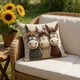 thumbnail image 4 of CaiYueKe Decorative Throw Pillow Cover Cute Embroidery Soft Short Lint Pillowcase for Sofa Couch Bedroom Living Room Home Decor Accent Pillow, 4 of 6
