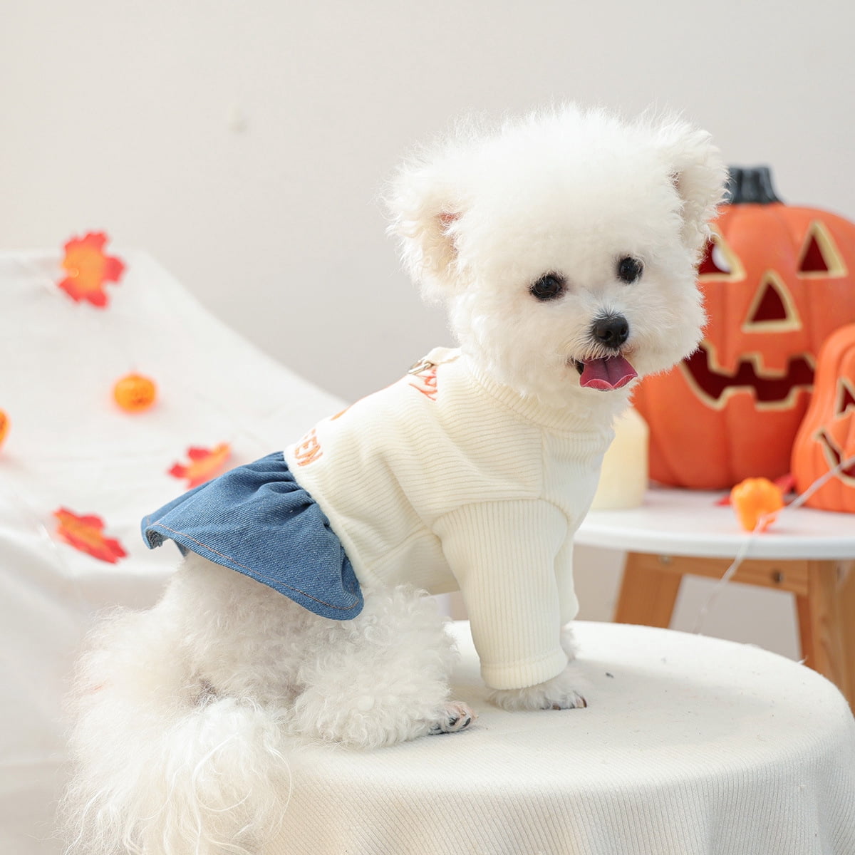 BLRTUN Halloween Dog Dress Costumes for Small Dogs Girl Tulle Dress Dog Clothes Skull Holiday Pet Costume Cat Outfits
