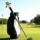 thumbnail image 4 of WEUVEB Cubierta De Madera Para Golf En Con Animal Cocodrilo Verde, 4 of 7