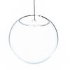 WGV Half Round Wall Hanging Terrarium - 5" Wide x 3" Depth, Good quality, Heavy Weighted Base - 1 Pc