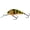 Gold Fluoroscent, variant on Salmo Hornet 4cm Floating Crankbait Dalmation Hard Bait Lure