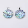 thumbnail image 3 of Abalone Shell/Paua Shell Pendants with Platinum Tone Brass Bail Flat Round 45x41x6~7mm Hole: 4.5x8mm, 3 of 3
