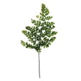 thumbnail image 2 of Vickerman 6-10" Oasis Green Fern - Adianthum - Petite Variety, 6 stems, Preserved, 2 of 4