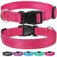 thumbnail image 2 of Correa reflectante para Collar de perro con seguridad ajustable, Collar de nailon para mascotas, cuerda de tracción para mascotas adecuada para mascotas de tamaño pequeño y mediano, 2 of 5
