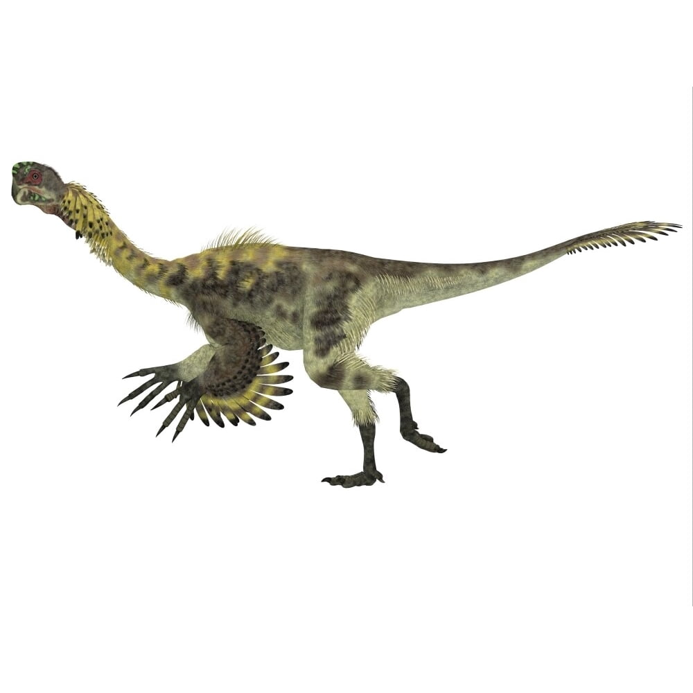 citipati dinosaur