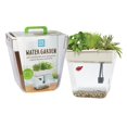 thumbnail image 3 of Back to the Roots 3 Gal. Self-Cleaning Aquaponic Water Garden Fish Tank Aquarium, 3 of 6