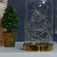 thumbnail image 6 of Mainstays Battery-Operated Indoor 50-Count LED Multi-Color Wire Lights, with 8 Lighting Modes, 6 of 8