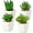 4pack - White Ceramic, variant on Succulents Plants Artificial 4Pcs Small Fake Succulents in Pots Faux Plastic Potted Plants with White Ceramic Pot for Home Decor Office Desk Bathroom Shelf Indoor & Outdoor Decoration