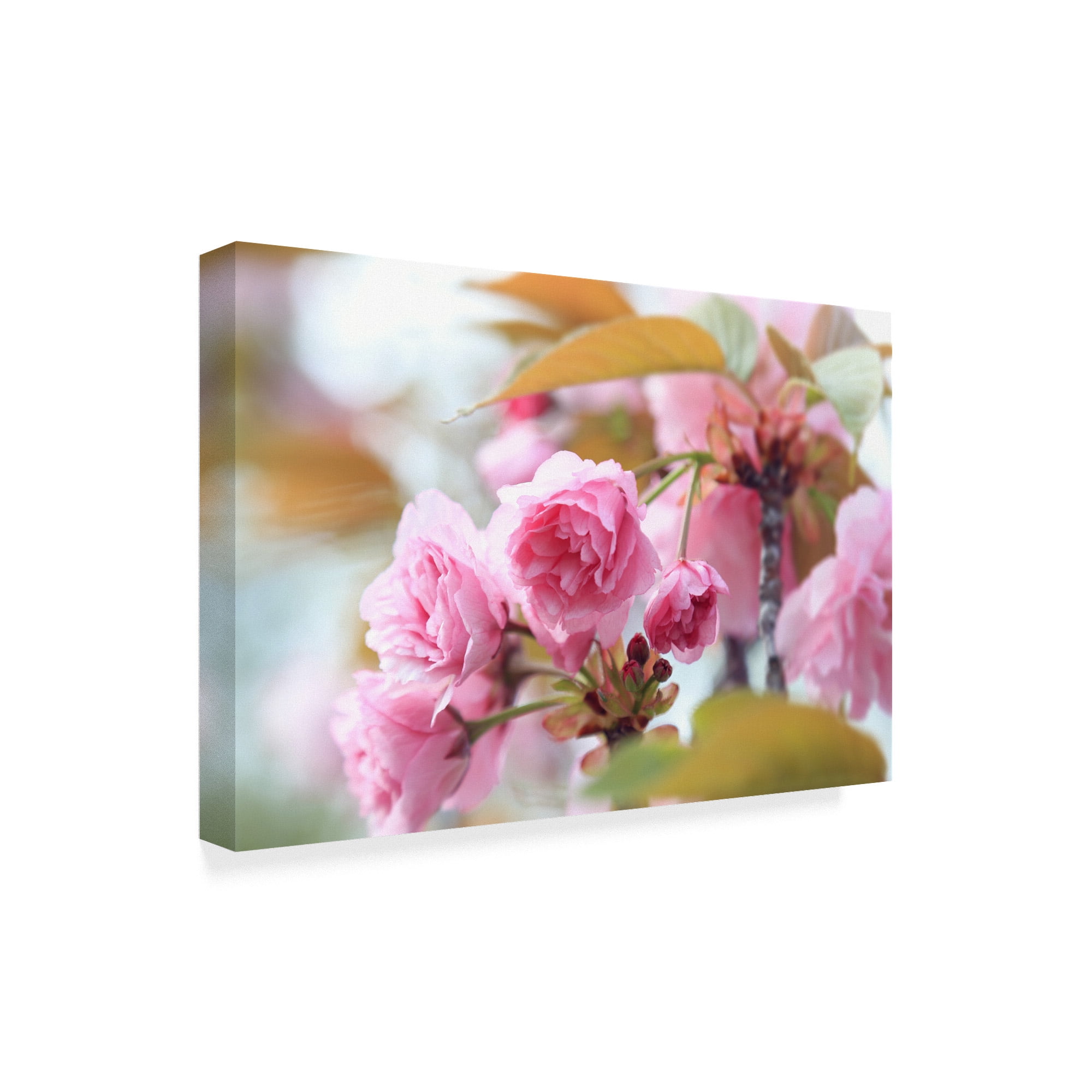 Trademark Fine Art 'Pink Orchid Tree' Canvas Art by Incredi