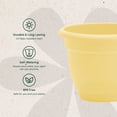 thumbnail image 4 of Bloem Ariana 8" Self-Watering Plastic Planter - Rolled Rim Indoor/Outdoor Garden Pot, Daffodil, 4 of 8
