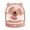 Pink, variant on Cute Bear Desk Fan with Night Light, 3 Speed Adjustable Desktop Fans, Bear-Shaped USB Small Fan FOR Home Office Dormitory Classroom Use