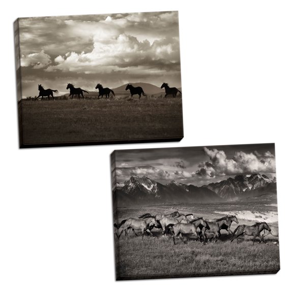 Gango Home Decor Horizontal Mountain Range Mavericks & Racing the Clouds by Lisa Dearing (Ready to Hang); Two 24x16in Hand-Stretched Canvases