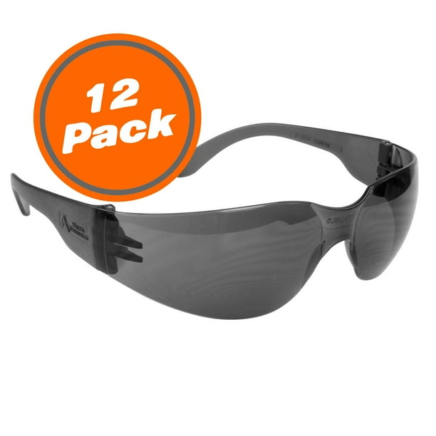 Tinted Safety Glasses (12 Pack)