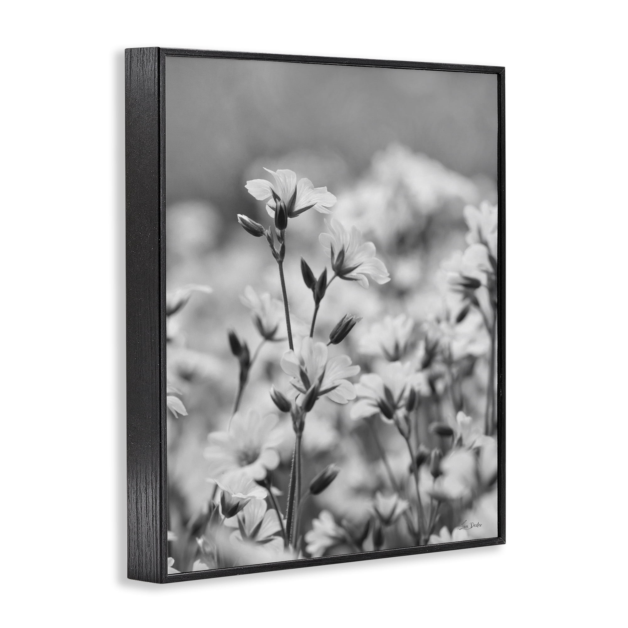 Stupell Industries Budding Meadow Flora Botanical & Floral Photography Black Framed Art Print Wall Art, 16 x 20