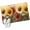 Yellow, variant on 2x3 Ft Entryway Area Rug, Summer Sunflowers Kitchen Rug Runner Washable Floor Mat, Vintage Oil Painting Red Yellow Floral Non Slip Indoor Door Mat Throw Carpet for Bathroom Living Room Bedroom