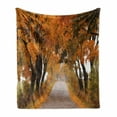 thumbnail image 1 of Fall Soft Flannel Fleece Throw Blanket, Fall Season in Poland Road with Colorful Vibrant Maple Trees Serenity Theme, Cozy Plush for Indoor and Outdoor Use, 70" x 90", Orange Brown Green, by Ambesonne, 1 of 6