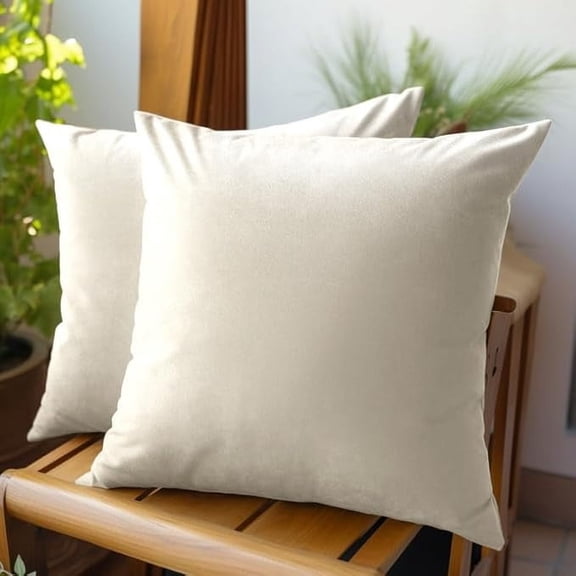 Nmkwnr 2 Pack Decorative Soft Velvet Throw Pillow Cases with Zipper, Solid Square Cushion Covers for Bedroom Car Living Room Sofa, 16x16inch