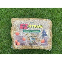 Rhino Seed EZ Straw Decorative Straw Bale Fertilizers, 5 lb with Non toxic and biodegradable