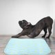 thumbnail image 3 of Dog Summer Nest Pet Sleeping Cushion Cat Summer Pad Puppy Sleeping Mat Summer Cooling Mat, 3 of 4