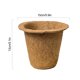 thumbnail image 5 of Taza de vivero de palma de coco maceta de vivero nutritiva maceta de crecimiento de plantas verdes suministros de jardinería maceta de palma de coco ANGGREK  Otros, 5 of 8