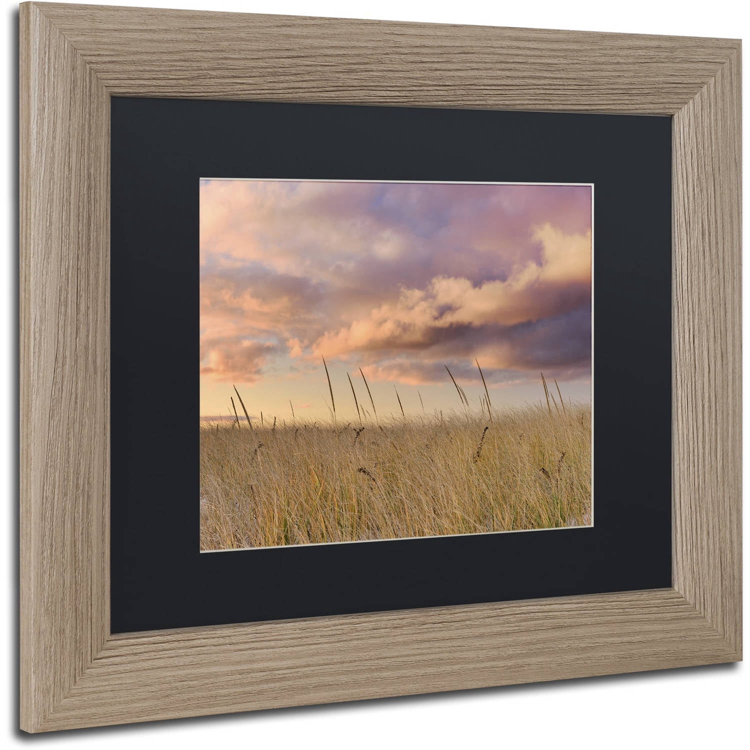 Trademark Fine Art "Beachgrass Sunrise" Canvas Art by Michael Blanchette Photography Black Matte, Birch Frame
