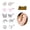 5 pairs A-Silver, variant on Women Hypoallergenic Screw Back Stud Earrings, 316L Surgical Stainless Steel Heart CZ Flower Pearl Ball Tiny Screwback Piercing Earrings for Adult Ladies