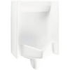 Toto Commercial Back Spud Inlet High Efficiency Urinal, .5 GPF, ADA Compliant, Available in Various Colors