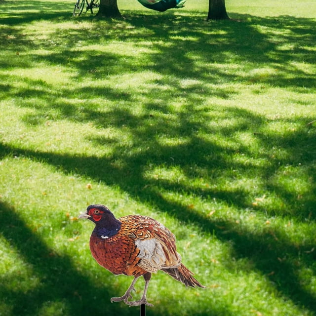 Estatua de faisán, estacas de animales, regalos, decoración de Pascua, manualidades, estaca de patio, adornos de paisaje para patio trasero, patio de B