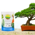 thumbnail image 2 of All-Purpose Bonsai Potting Mix (4 Quarts), All-Natural Organic Nutrient-Rich Bonsai Soil Mixture, 2 of 10