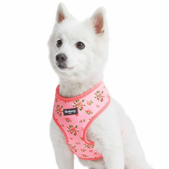 Blueberry Pet Soft & Comfy Spring Scent Inspired Floral Rose Baby Pink Dog Harness Vest, Chest Girth 16" - 21", Small, Adjustable Harnesses for Dogs