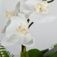 thumbnail image 2 of Uttermost Transcend Orchid Centerpiece, 2 of 3