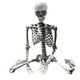 thumbnail image 5 of Esqueleto de Halloween, esqueletos aterradores, decoración duradera, modelo de esqueleto humano de cuerpo completo 70cm, 5 of 9
