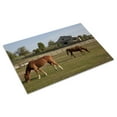 thumbnail image 3 of Print: Rural Alabama In The Spring, 2010, 3 of 4