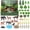 Forest, variant on 48 count Rainforest Diorama Kit Habitat Project Box Set Rain Forest Diorama Supplies Include Rain Forest Figures Artificial Trees Rocks with Cardboard for DIY Crafts Gifts